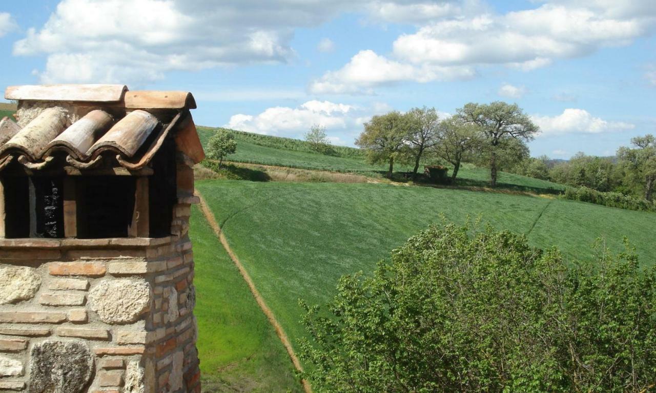 Ferienwohnung Agriturismo Bio Tra Cielo E Terra Grutti Exterior foto