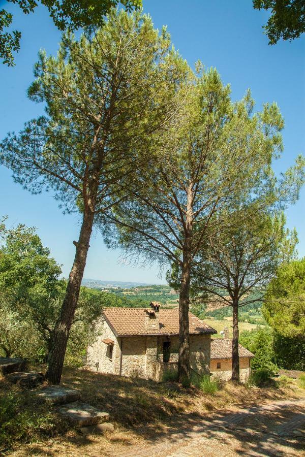 Ferienwohnung Agriturismo Bio Tra Cielo E Terra Grutti Exterior foto