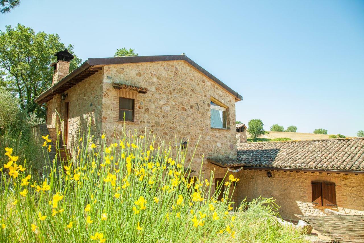 Ferienwohnung Agriturismo Bio Tra Cielo E Terra Grutti Exterior foto